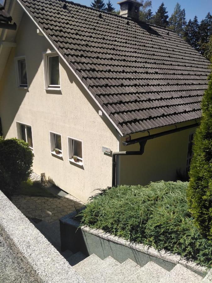 קרנייסקה גורה Apartments Irena מראה חיצוני תמונה