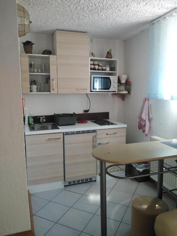 קרנייסקה גורה Apartments Irena מראה חיצוני תמונה